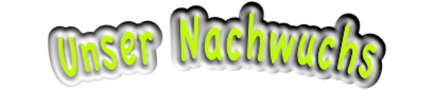 Nachwuchs Logo